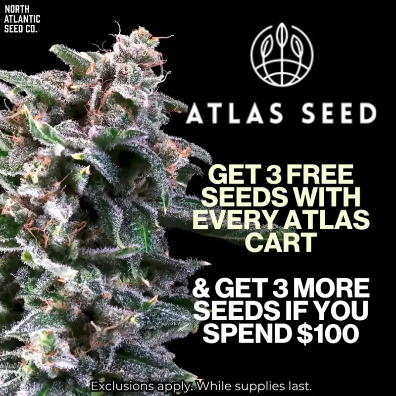 Atlas Seed Image