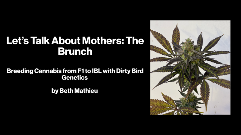 Let’s Talk About Mothers: The Brunch