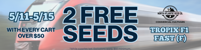FAST Week Promo Banner