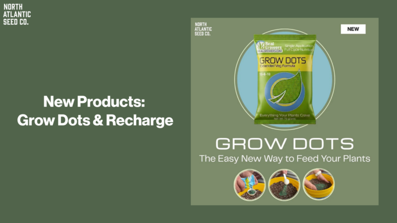 New Products: Grow Dots & Recharge