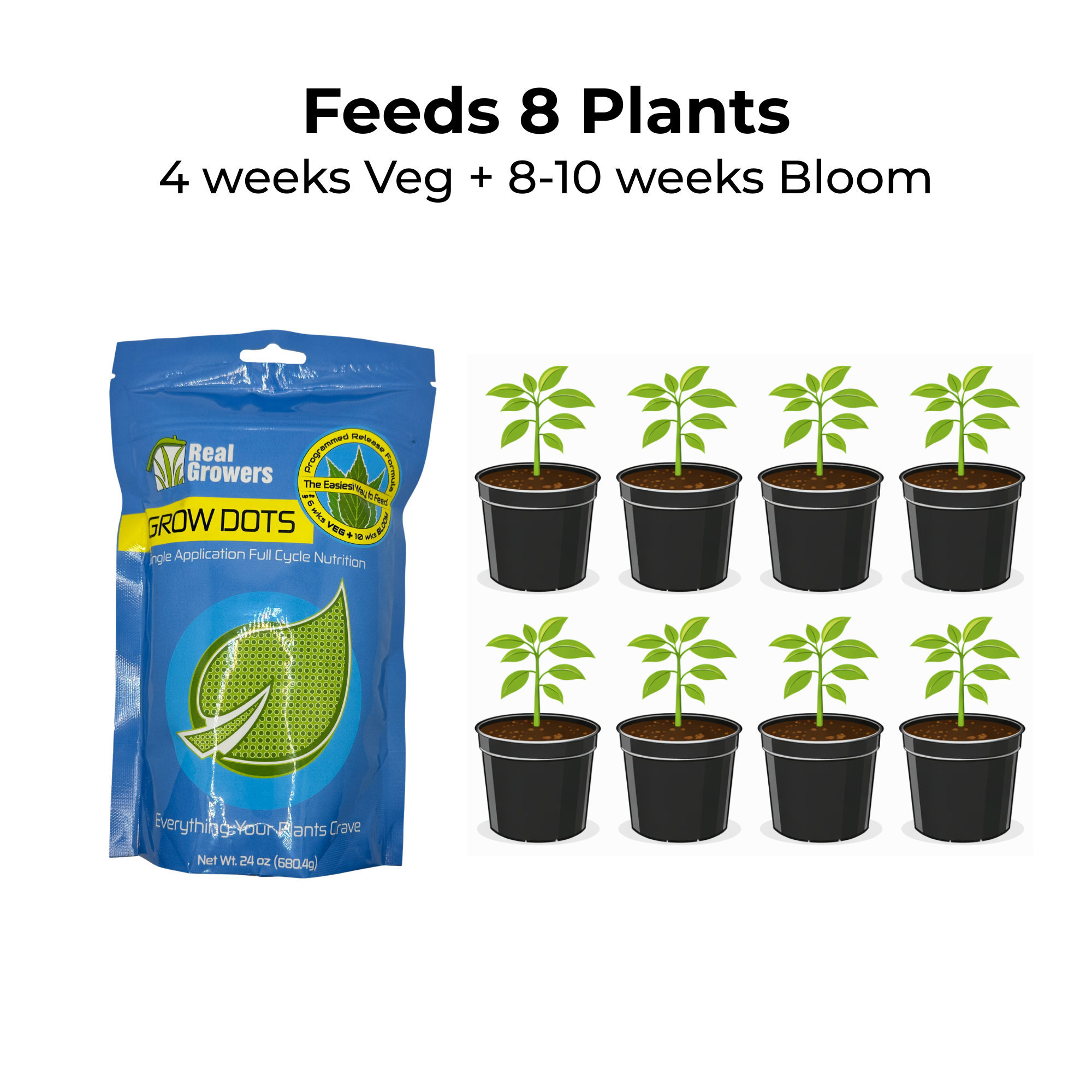 Classic Formula Programmed Release Plant Fertilizer by Grow Dots