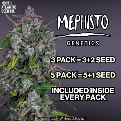 Mephisto Genetics Autos