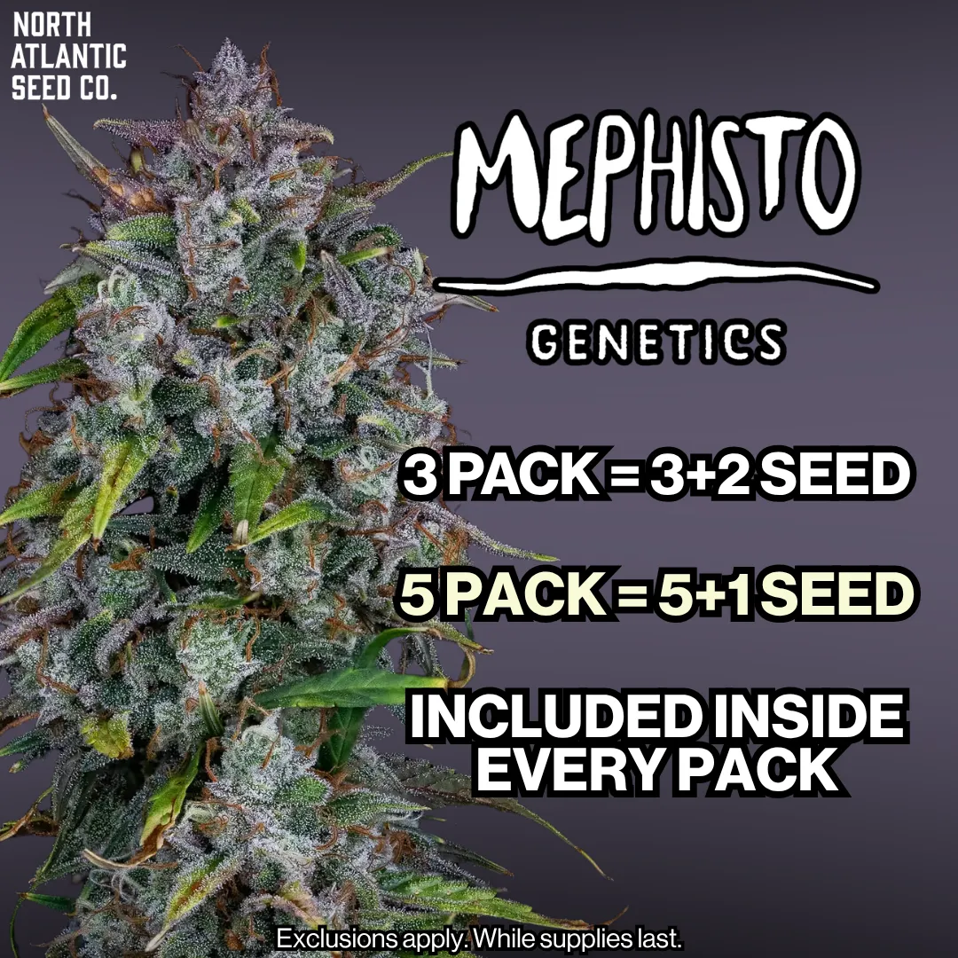 Mephisto Genetics Autos