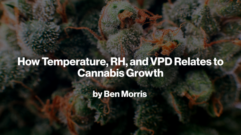 How Temperature, RH, and VPD Relates to Cannabis Growth