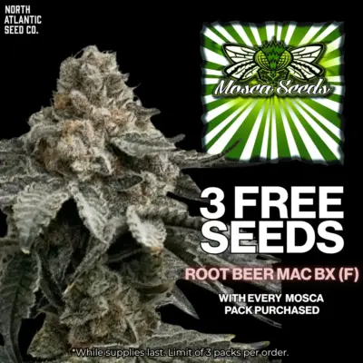 Mosca Seeds