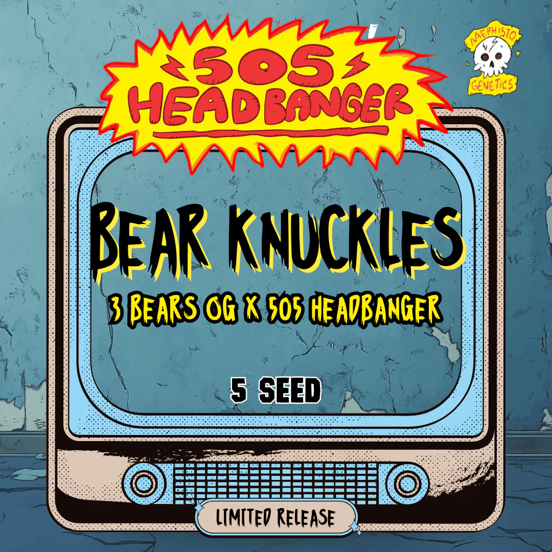 Bear Knuckles Auto Cannabis Seeds by Mephisto Genetics