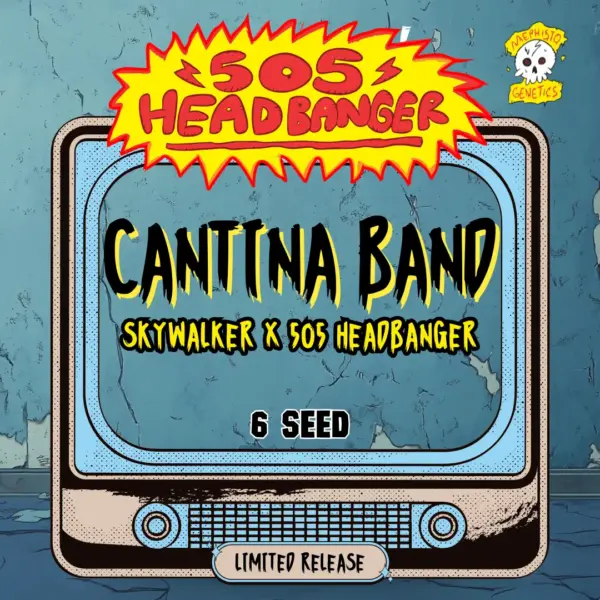 Cantina Band Cannabis Seeds by Mephisto Genetics