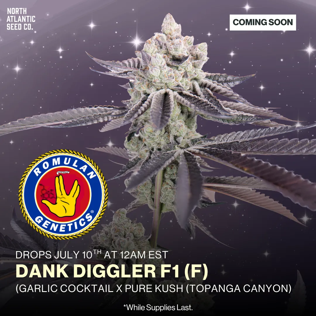 Romulan Genetics