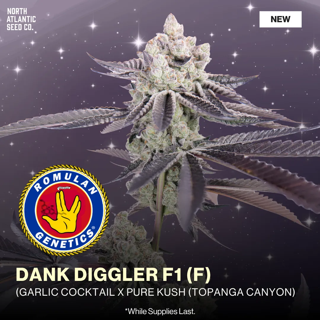 Romulan Genetics