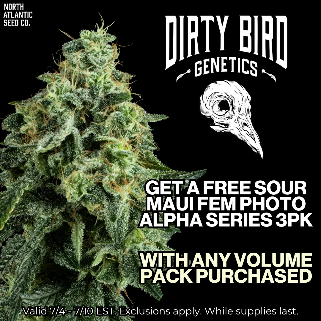 Dirty Bird Genetics - Volume Series