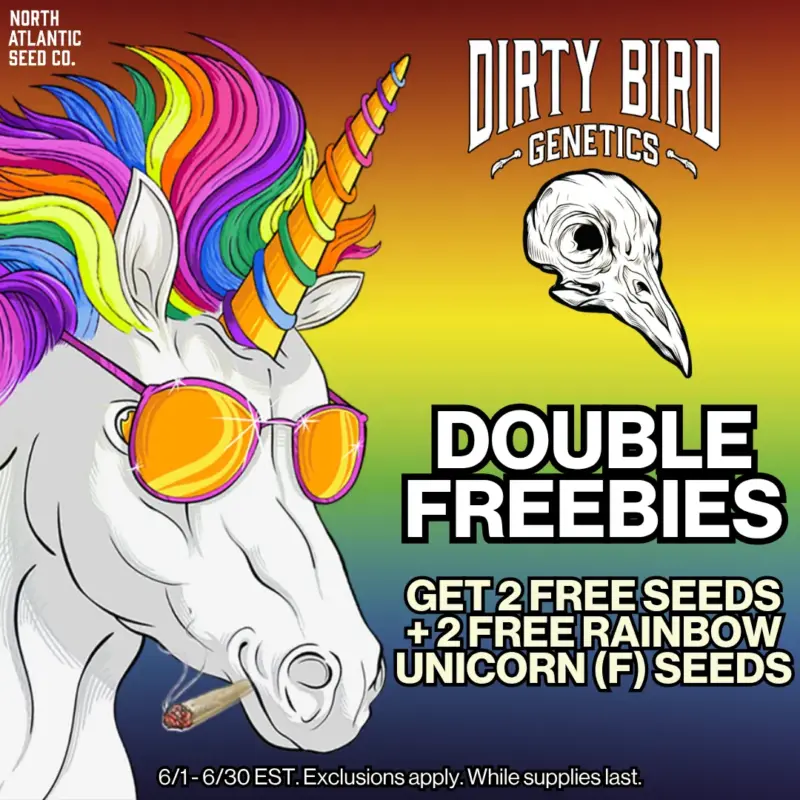Dirty Bird Genetics Image