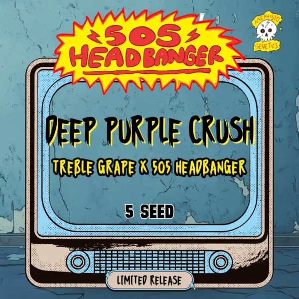 Deep Purple Crush Auto Cannabis Seeds by Mephisto Genetics