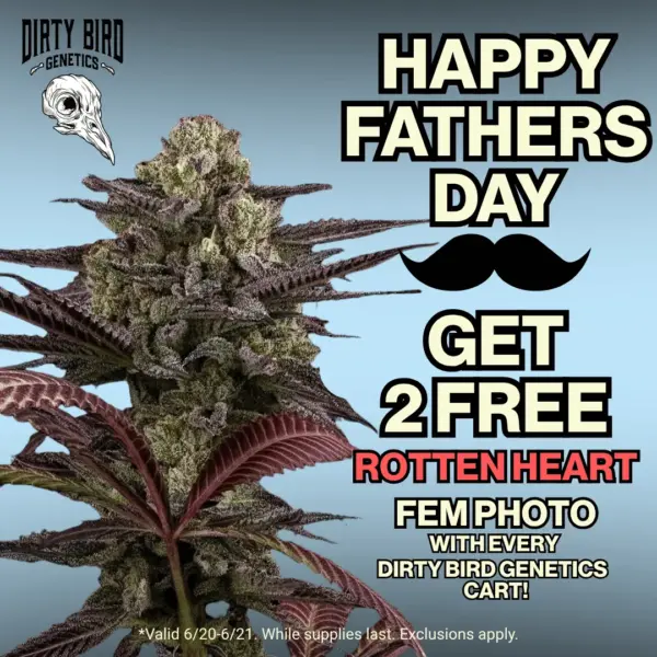 Dirty Bird Genetics