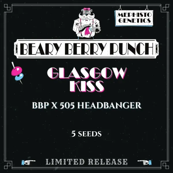Glasgow Kiss Auto Cannabis Seeds by Mephisto Genetics