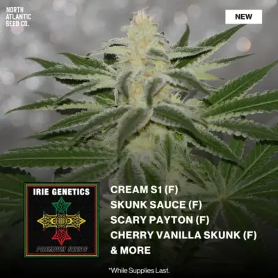 Irie Genetics