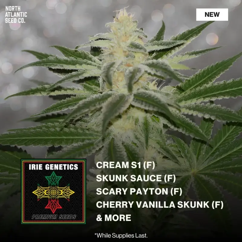 Irie Genetics New Strains 2026