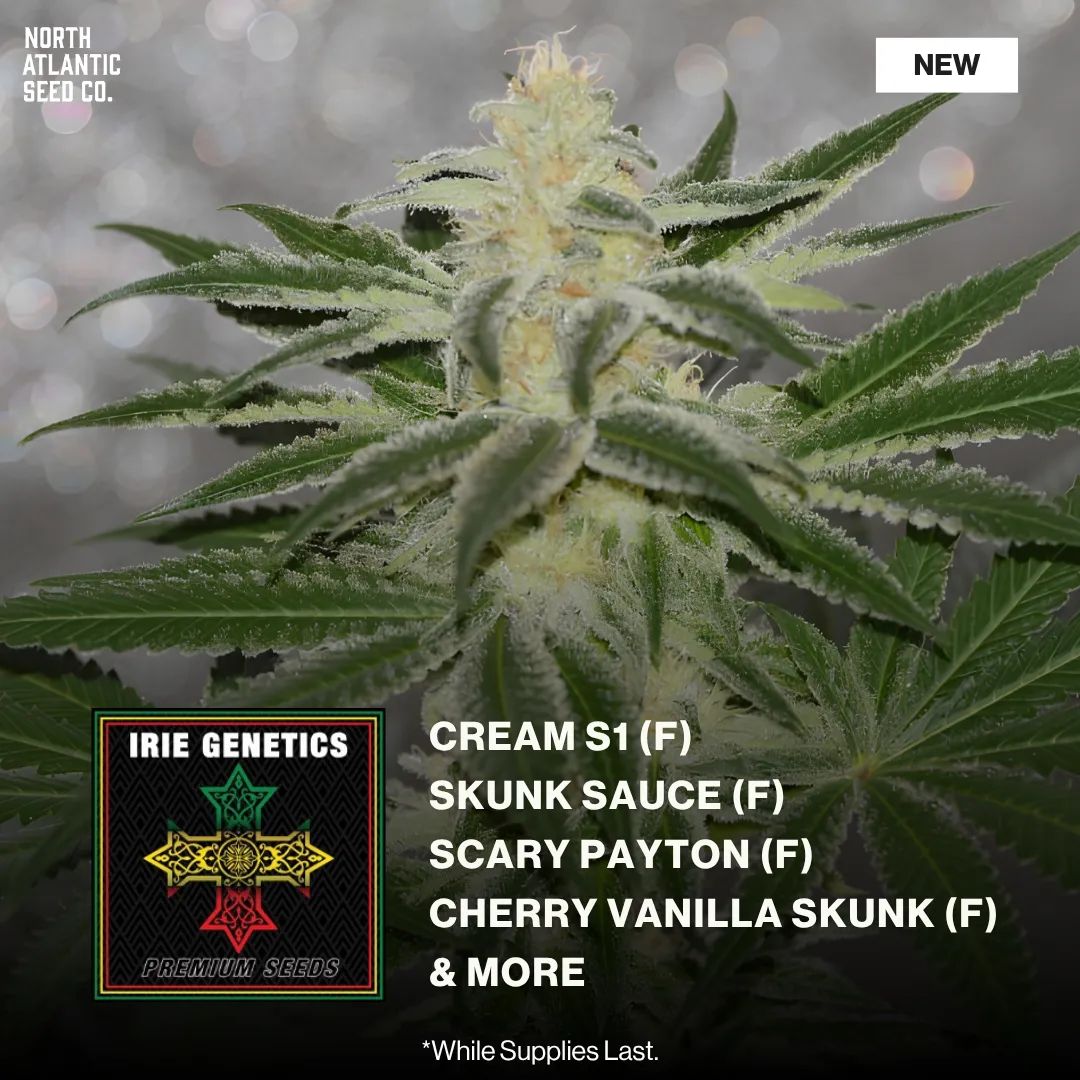 Irie Genetics