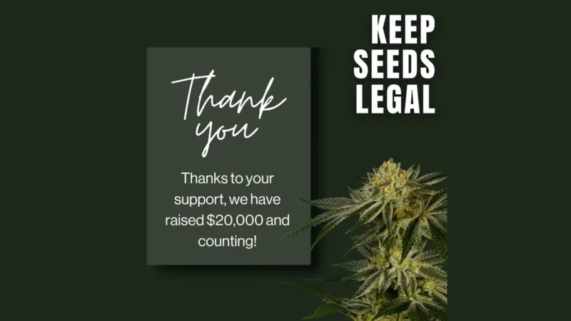An Update on Keep Seeds Legal from Beth and Team NASC + Dirty Bird