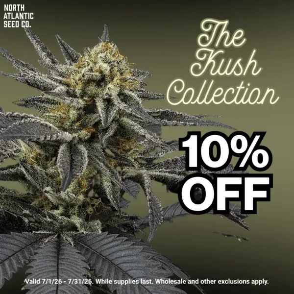 Kush Collection
