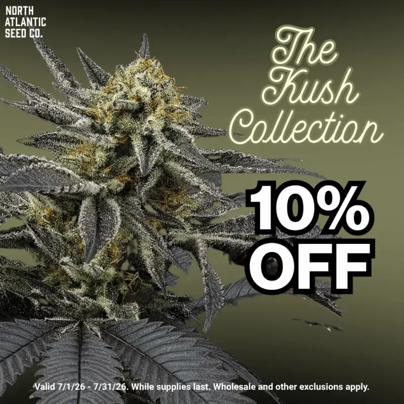 Kush Collection Image