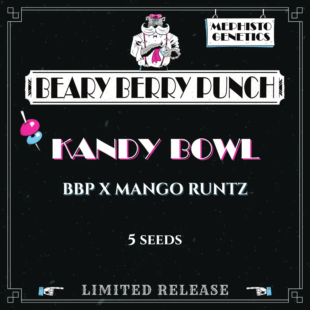 Kandy Bowl Auto Cannabis Seeds by Mephisto Genetics