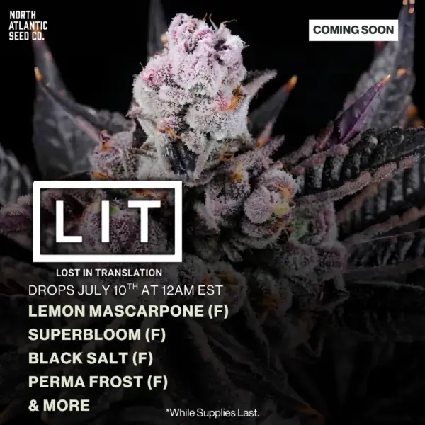 LIT Farms - Sharpiez Drop