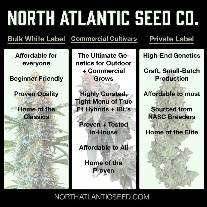 NASC BWL vs Commercial Cultivars vs Private Label