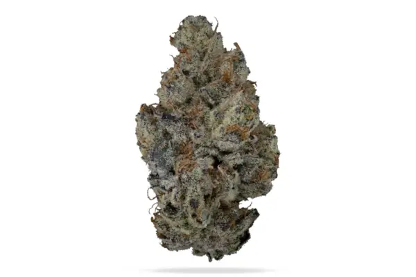 Pirate Juice Cannabis Seeds by Tiki Madman Seeds