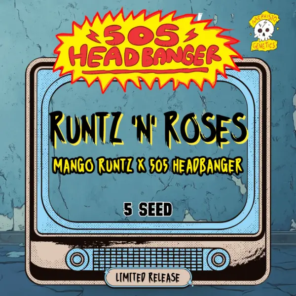 Runtz 'n' Roses Auto Cannabis Seeds by Mephisto Genetics