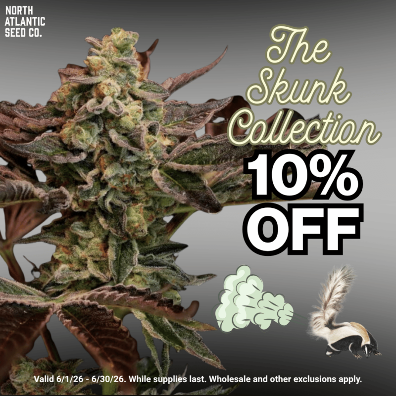 Skunk Collection Image