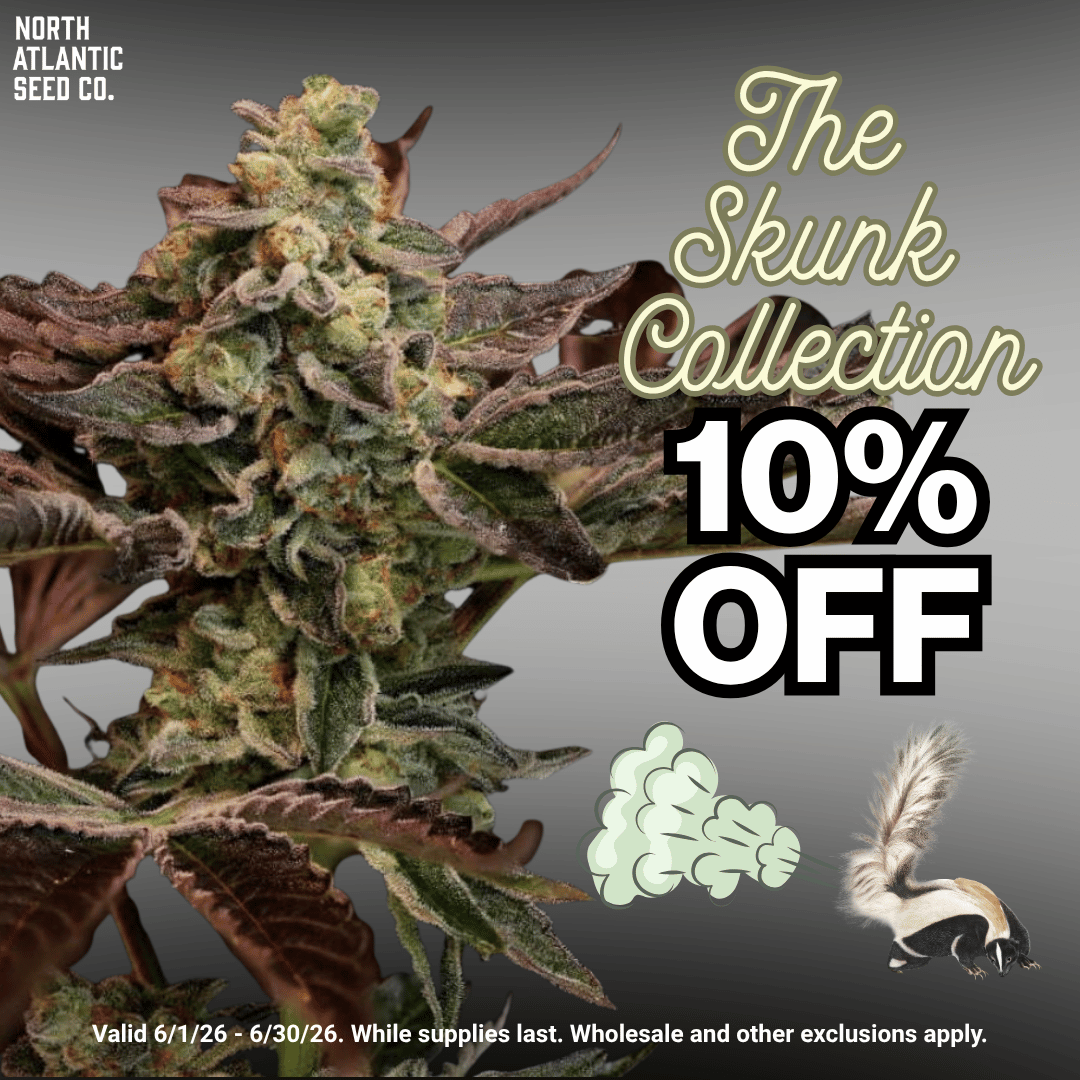 Skunk Collection