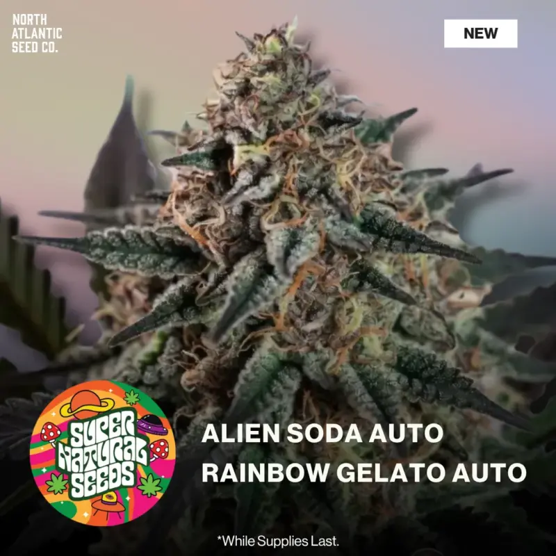 Supernatural Seeds Summer 2026 Drops