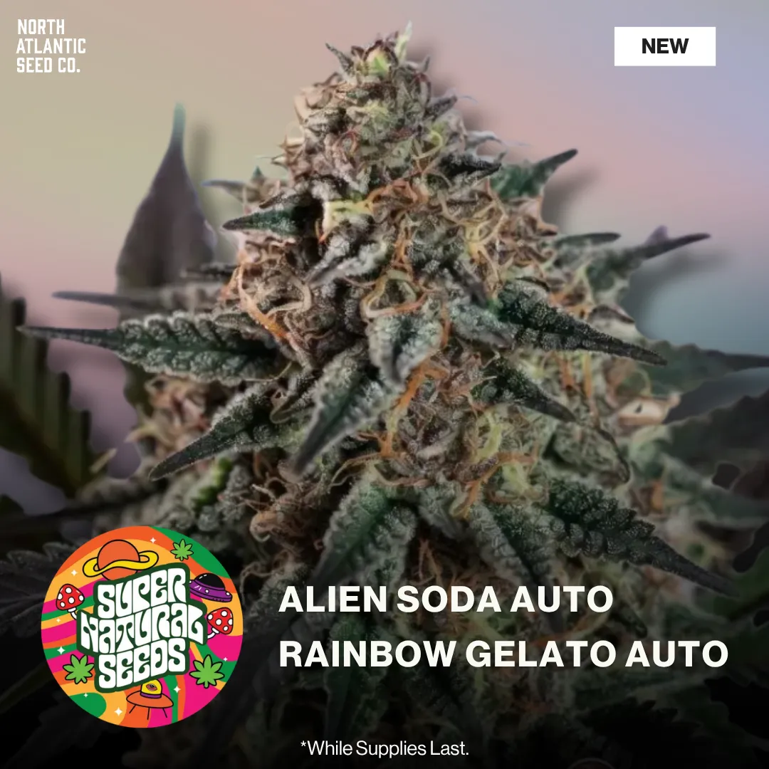 Supernatural Seeds Summer 2026 Drops