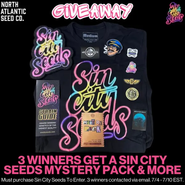 Sin City Seeds
