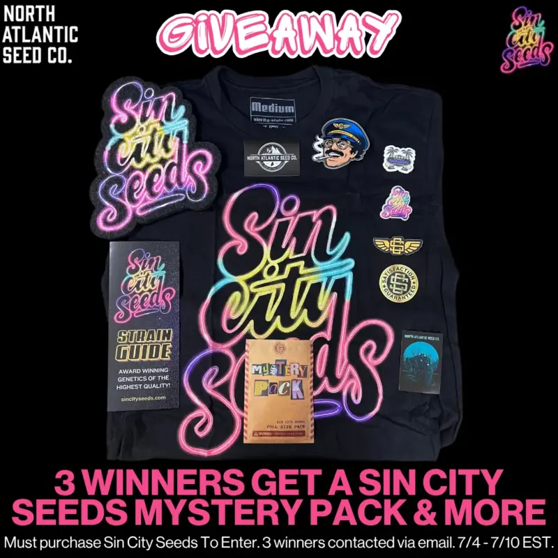 Sin City Seeds Image
