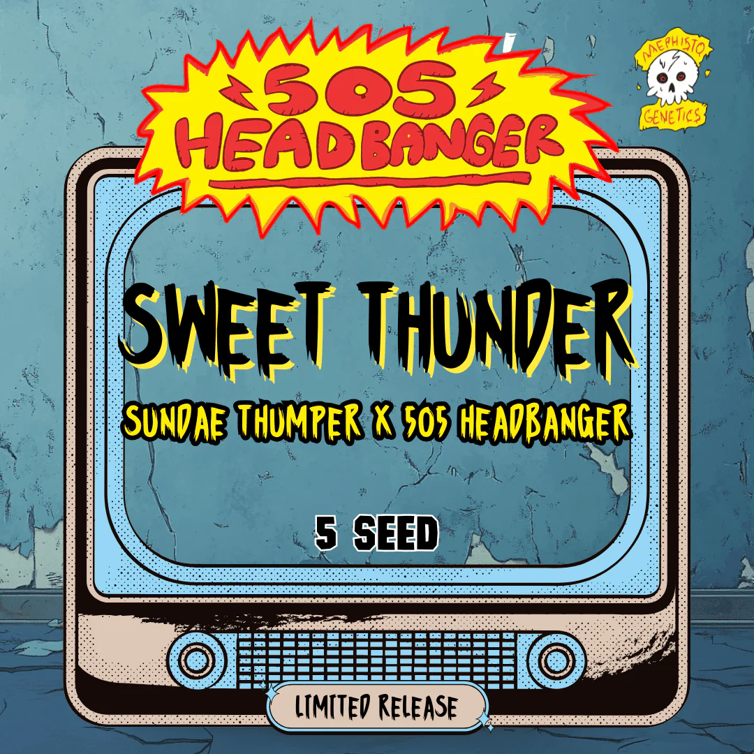 Sweet Thunder Auto Cannabis Seeds by Mephisto Genetics