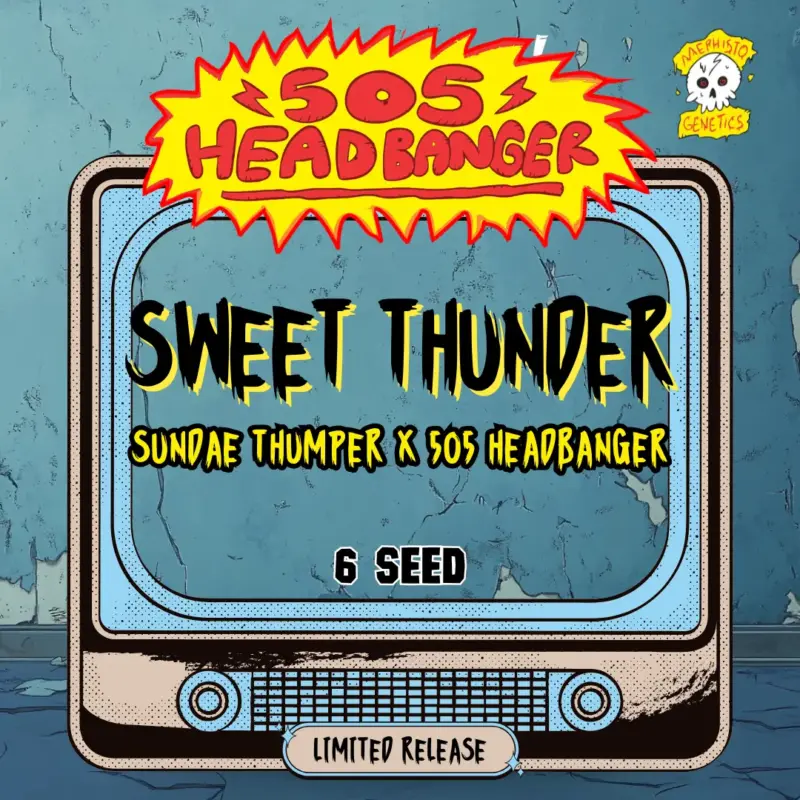 Sweet Thunder Cannabis Seeds by Mephisto Genetics