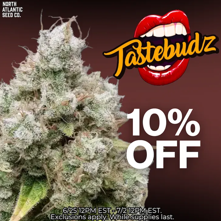 Tastebudz Image