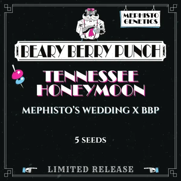 Tennesee Honeymoon Auto Cannabis Seeds by Mephisto Genetics