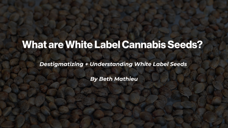 What are White Label Cannabis Seeds?  