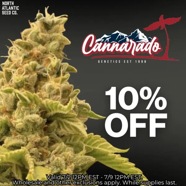 Cannarado Genetics