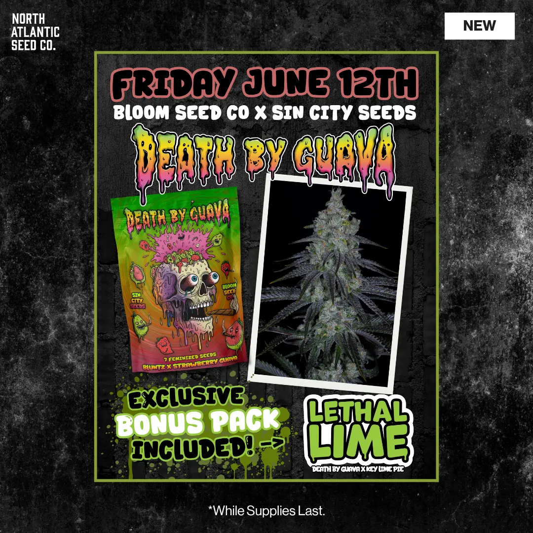 Sin City Seeds 2026 Drops