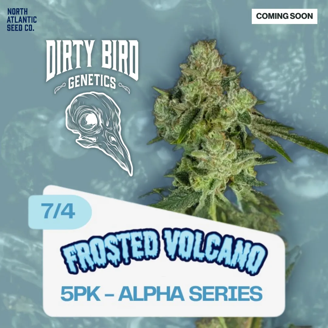 Dirty Bird Genetics - Alpha Series