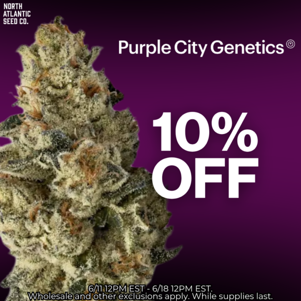 Purple City Genetics