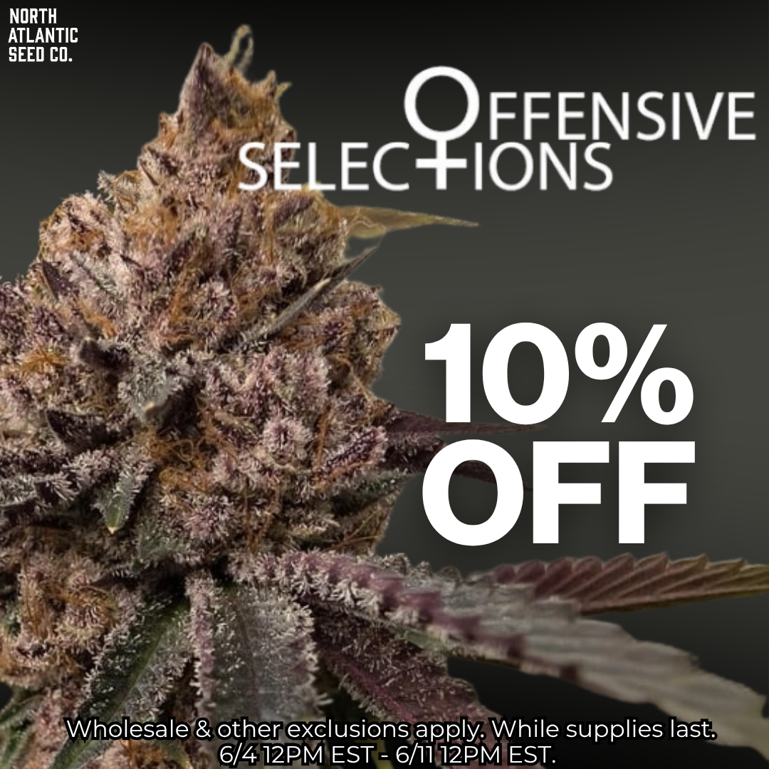 Offensive Selections