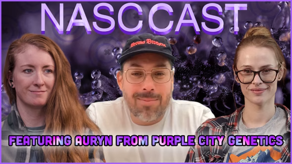 NASC Cast x Purple City Genetics