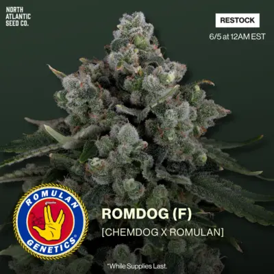 Romulan Genetics