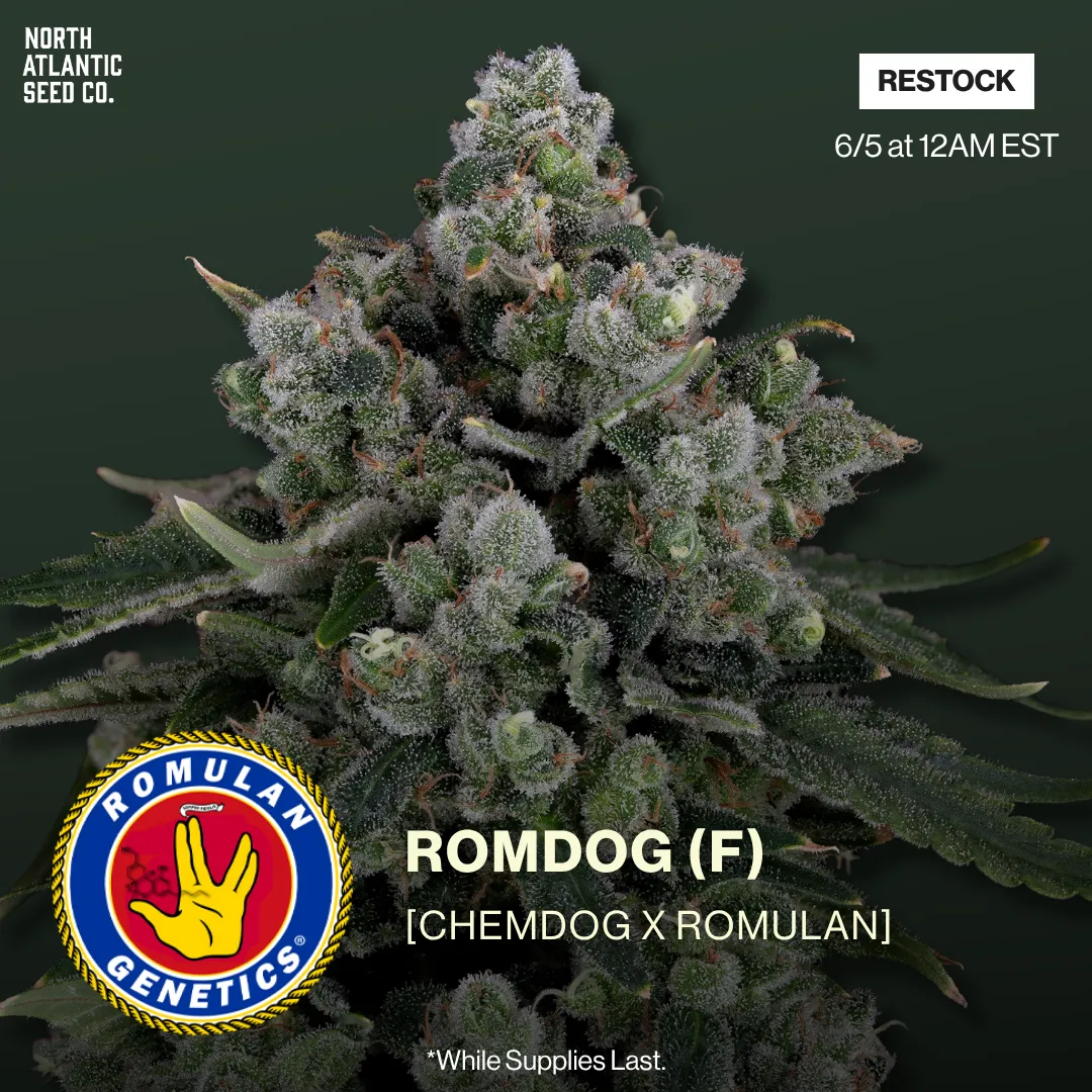 Romulan Genetics