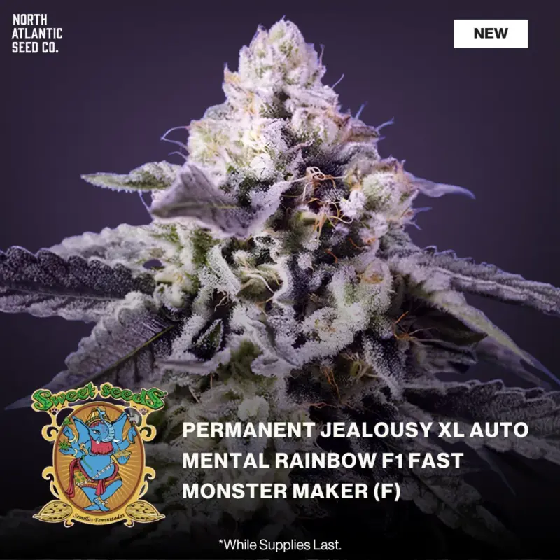 Sweet Seeds New Strains 2026
