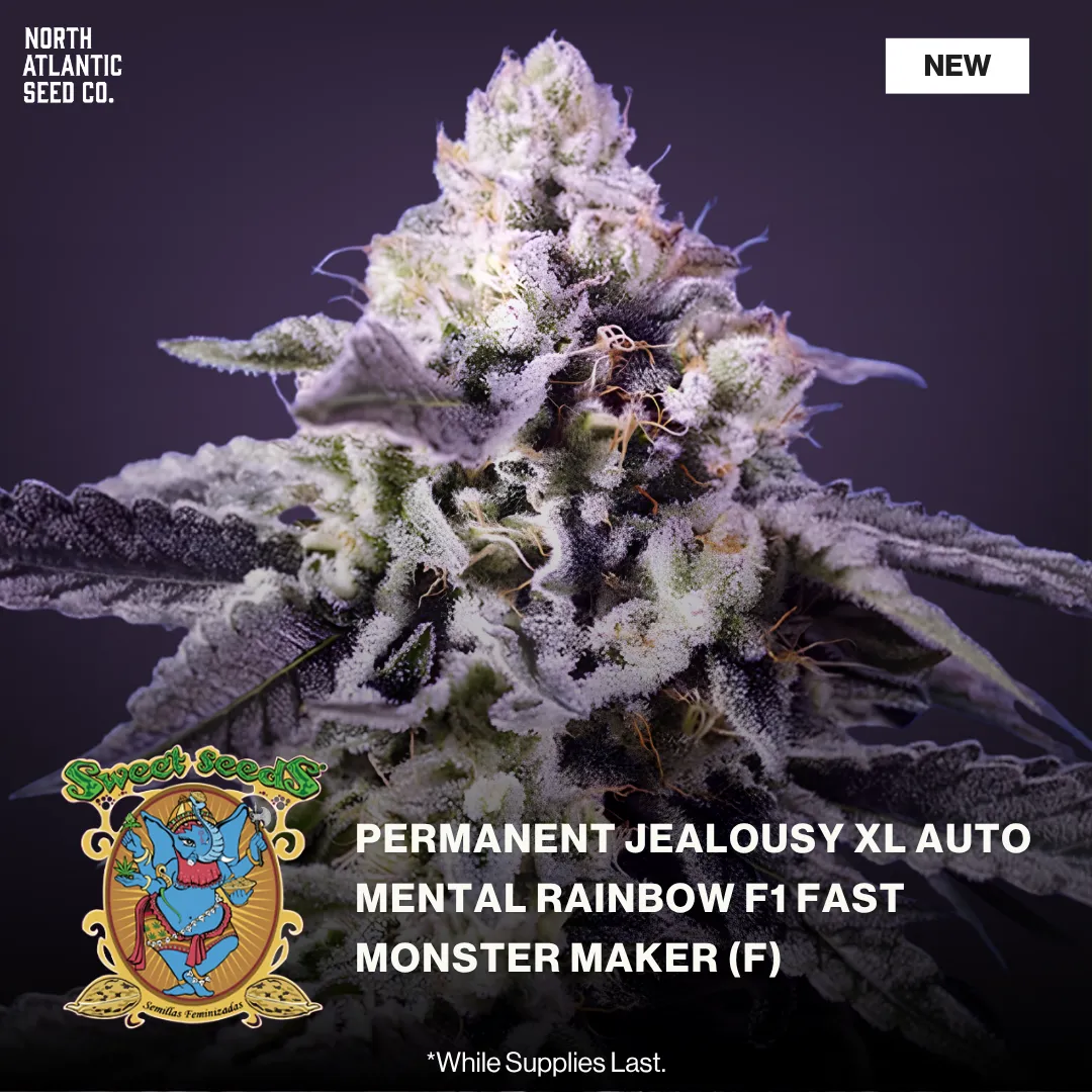 Sweet Seeds New Strains 2026